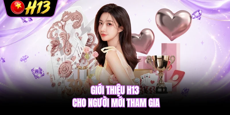 Giới thiệu H13 cho người mới tham gia